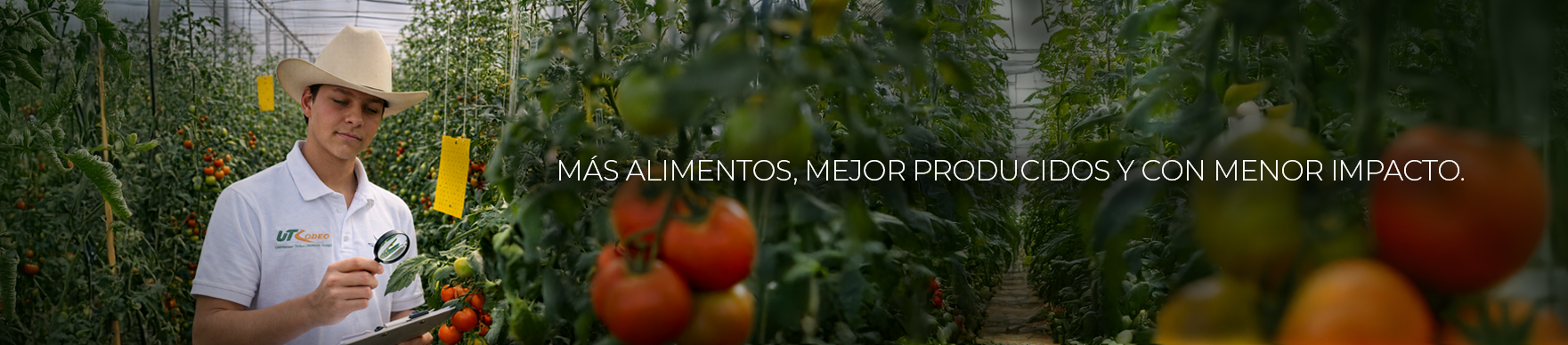 Agricultura